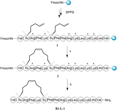 Design, Synthesis, and Antitumor Activity Study of All-Hydrocarbon-Stapled B1-Leu Peptides